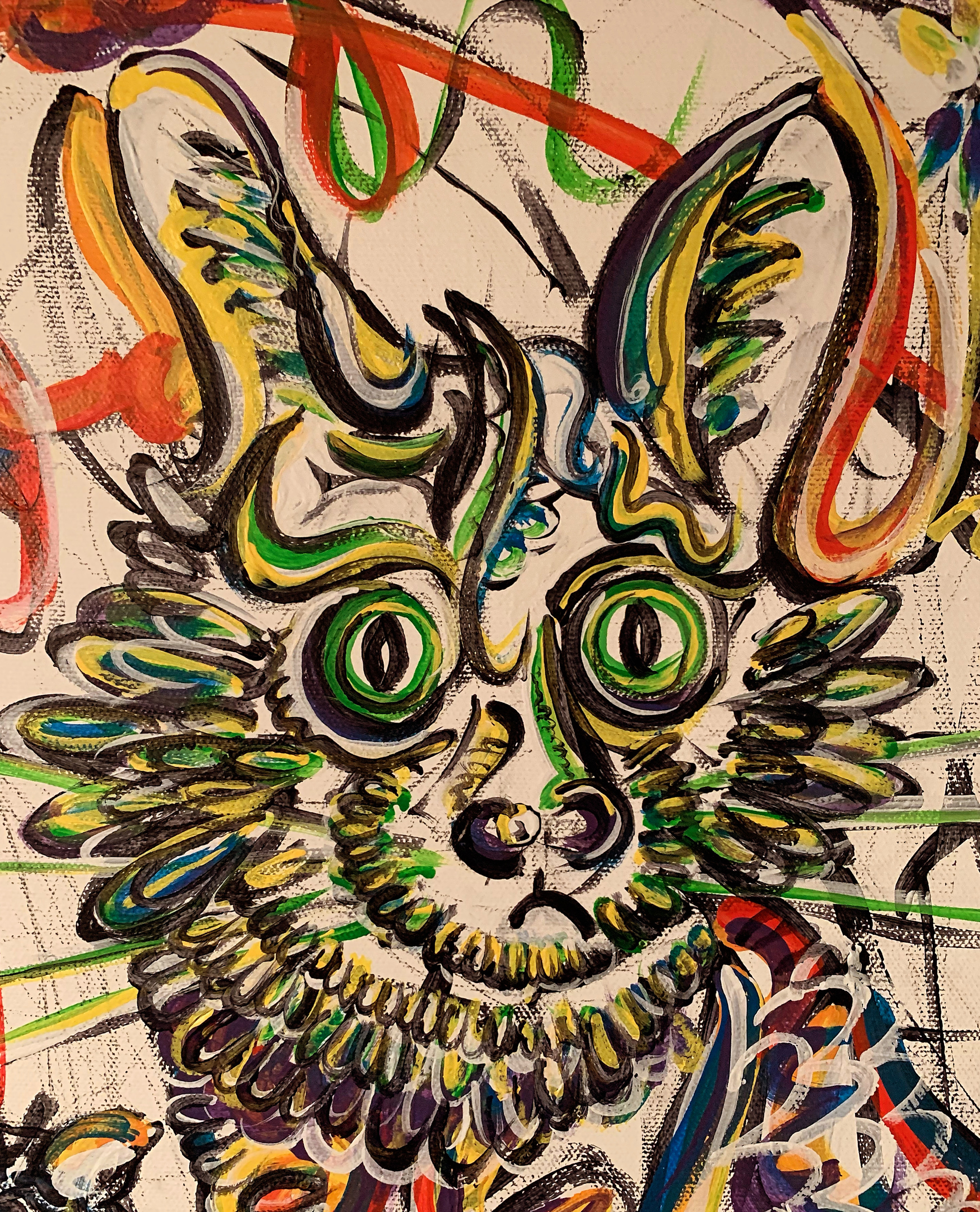 Kombucha the cat dktilw