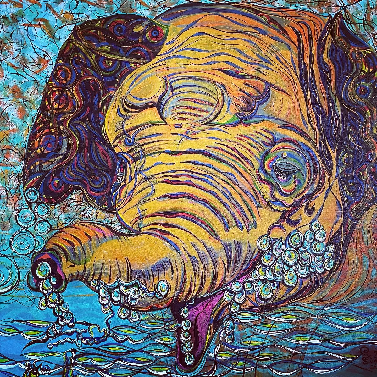 Elephant drink akwm98