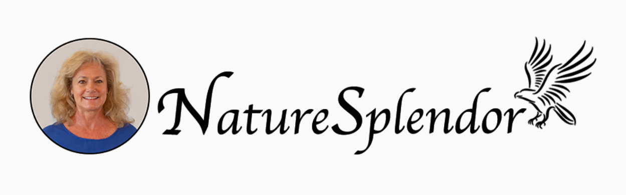 NatureSplendor