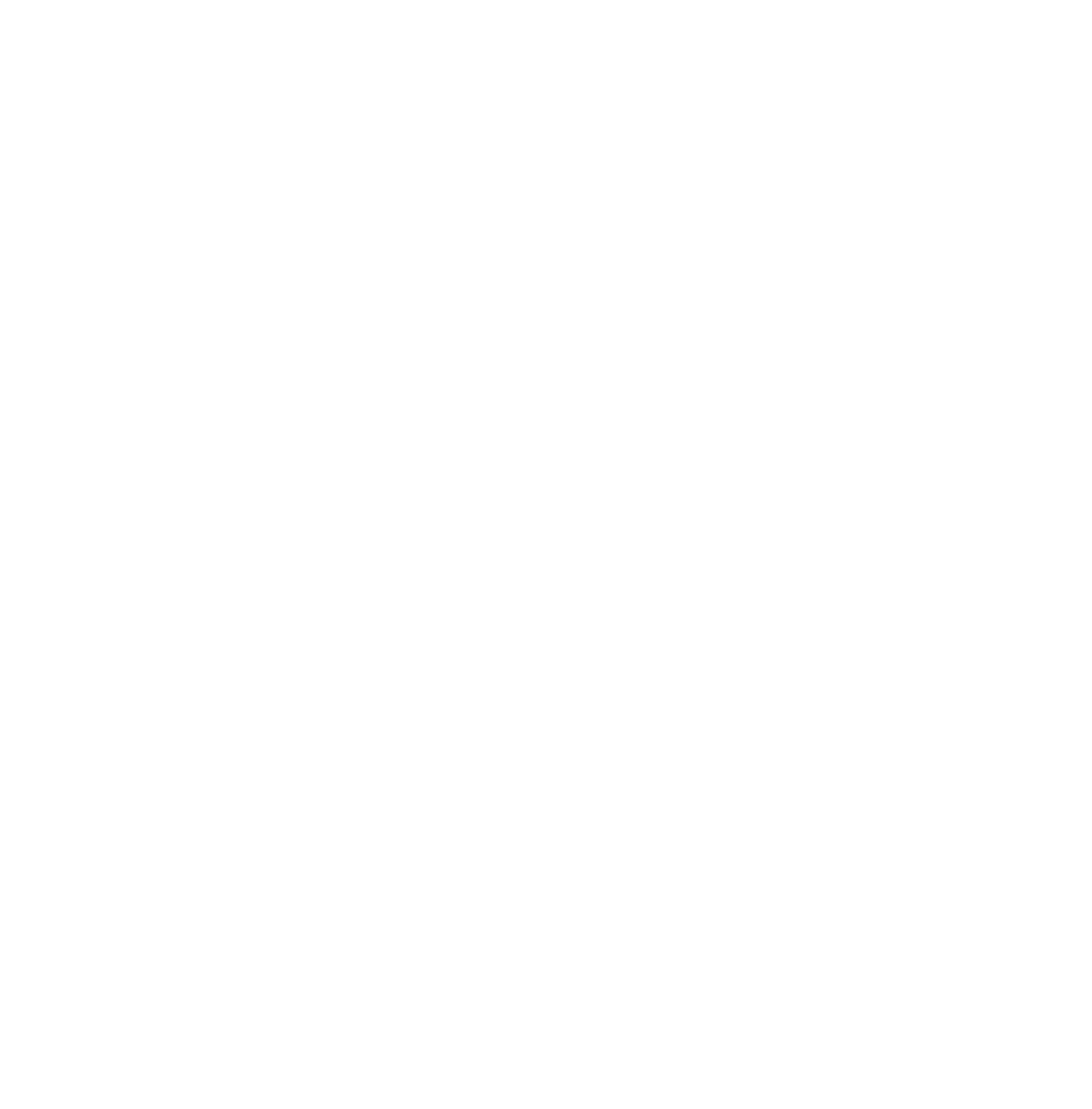 Chasing Fire Media