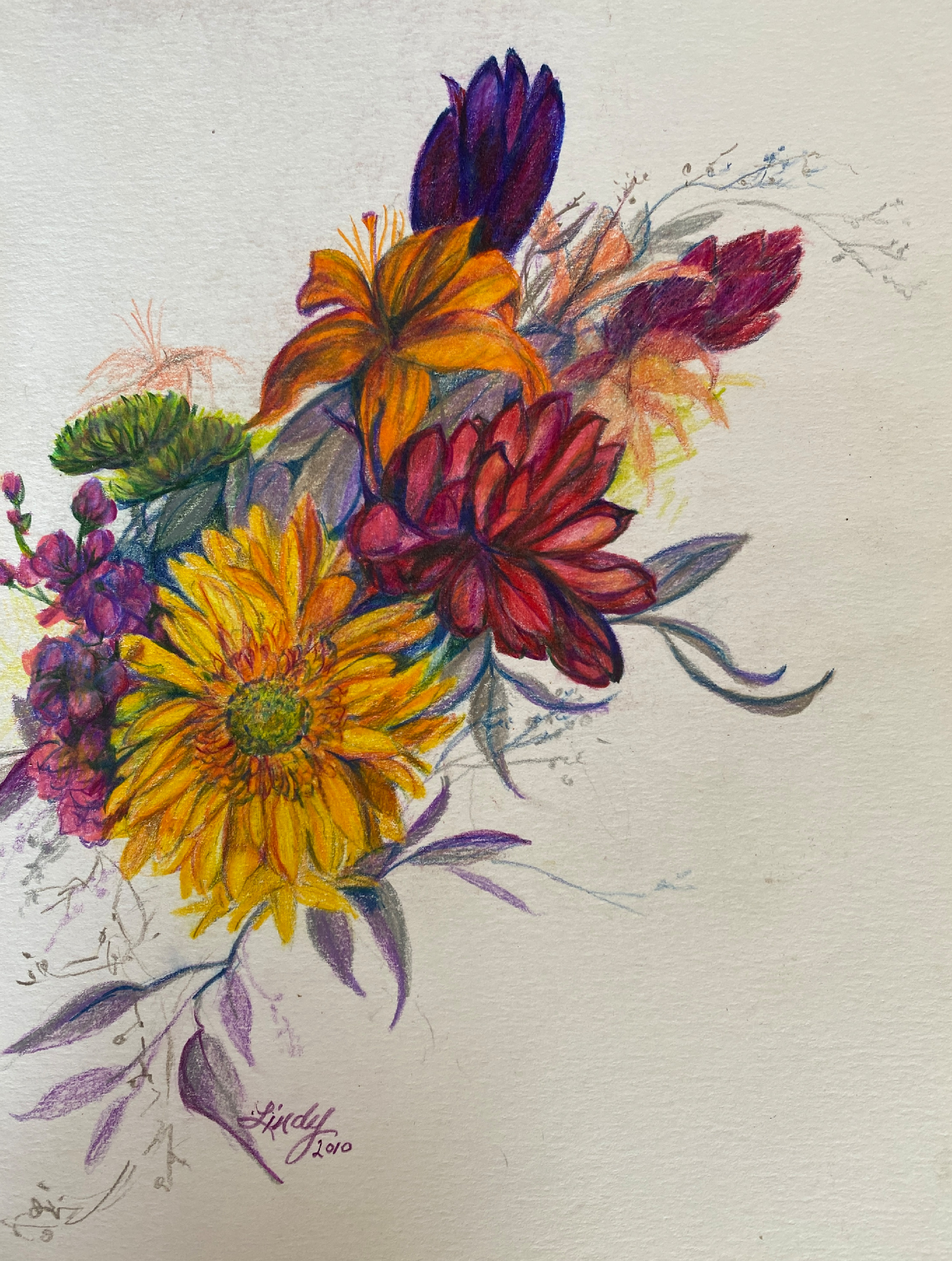 Lindy Cook Severns Art | A Gift of Color, original colored pencil