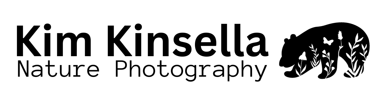 Fxyxbjfmloal78nyeabl