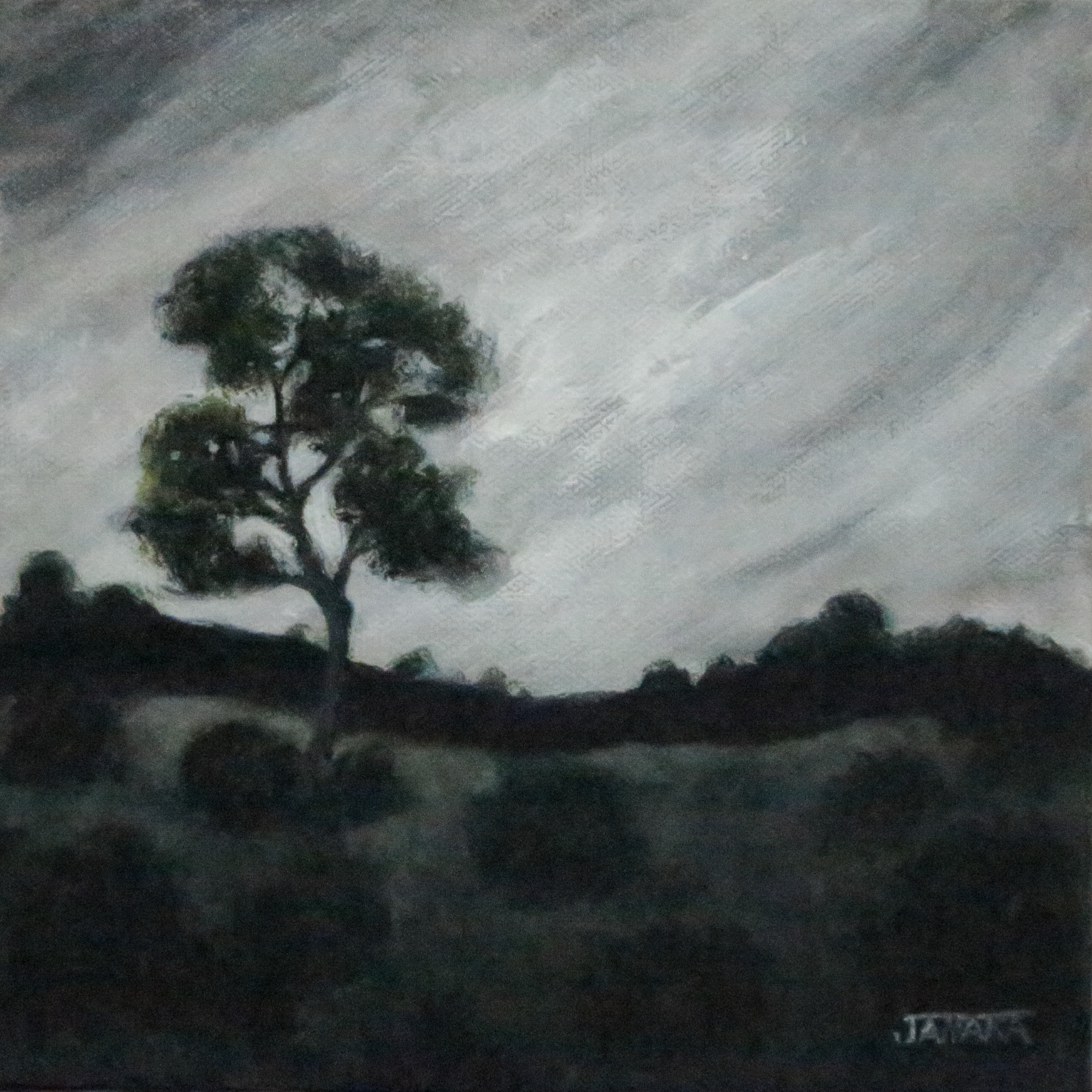 A tree stands alone at the end of a day8x8 2023 fg9tvq