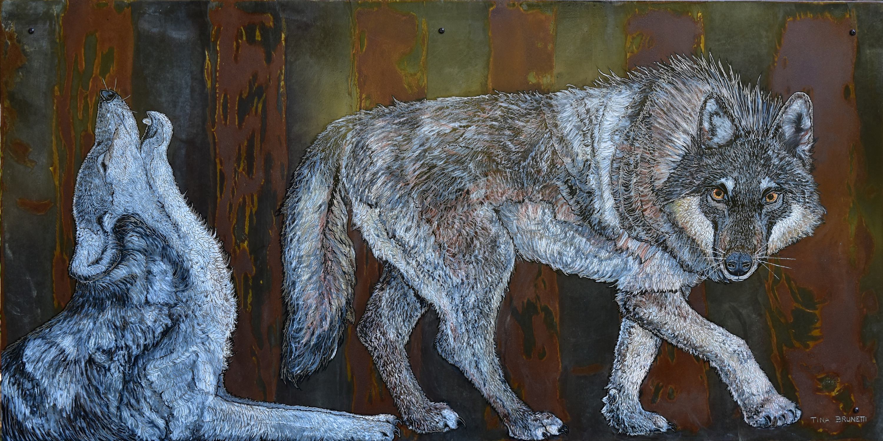Wolves of  yellowstone 24x48  2200 i4tjkv