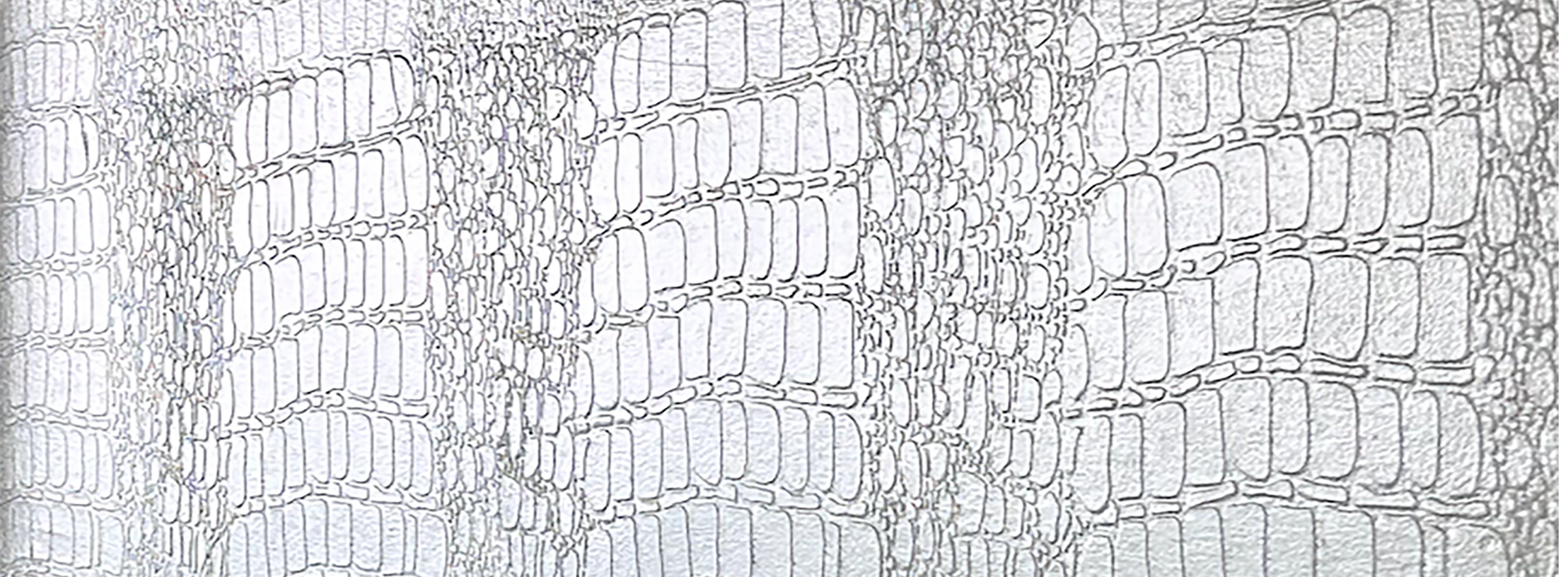 
        <div class='title'>
          Croc 3 copy
        </div>
       