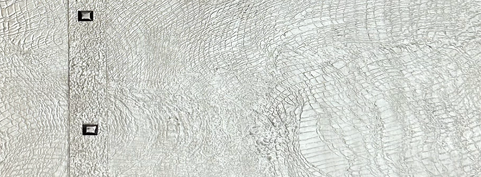 
        <div class='title'>
          Elephant copy
        </div>
       