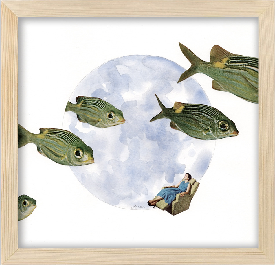 Fishdream framed cgmuge