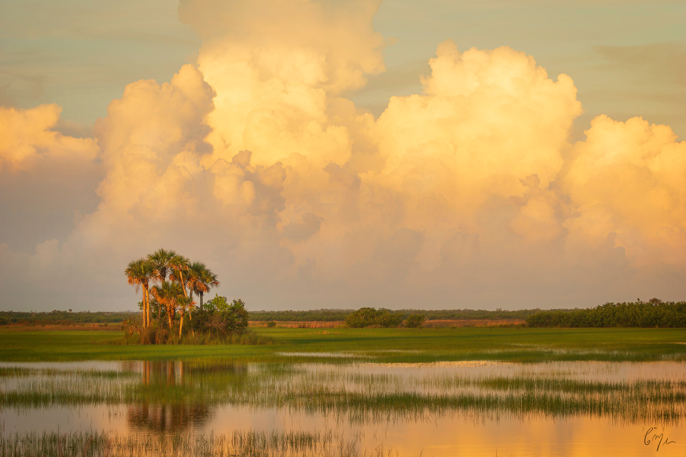 
        <div class='title'>
          Glimmering Prairie
        </div>
       