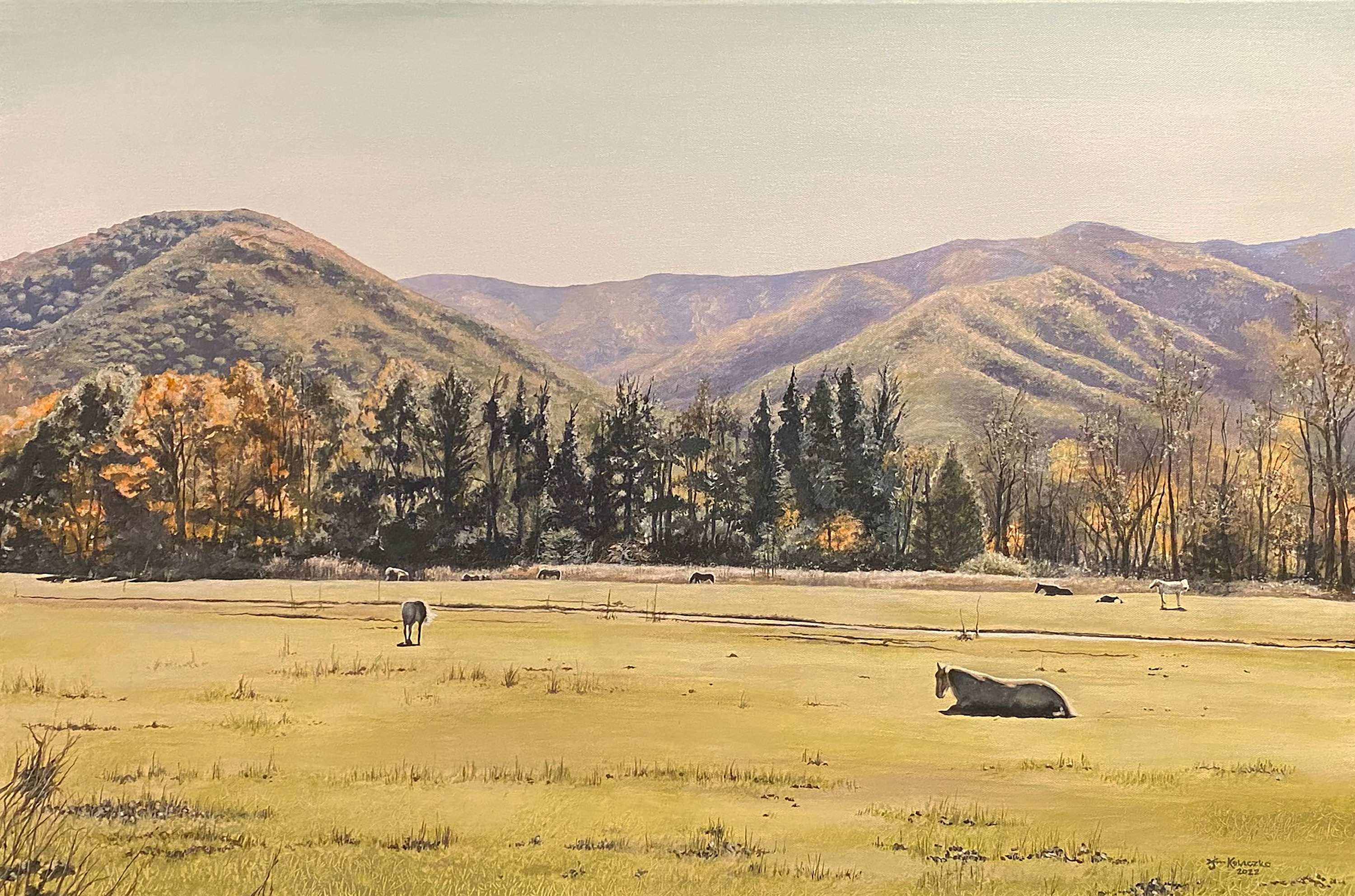 
        <div class='title'>
          Meadow at Pigeon Forge, Tennessee
        </div>
       
        <div class='description'>
          
        </div>
      