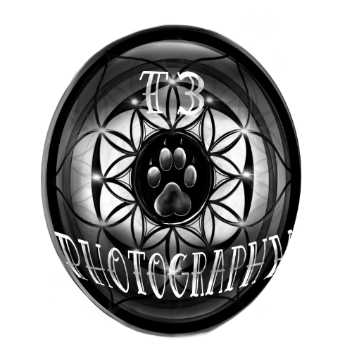 Uxbpb1fansuwz3yrac9x