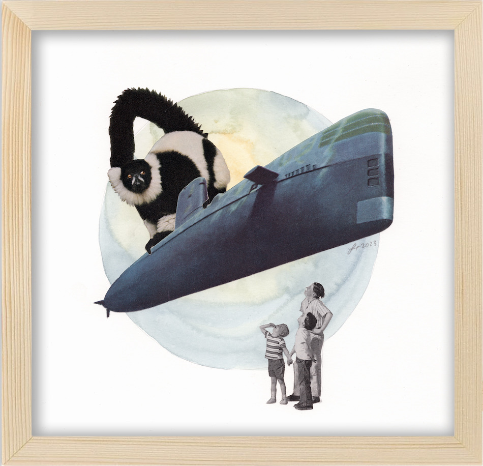 Monkeysub framed yrb8fc