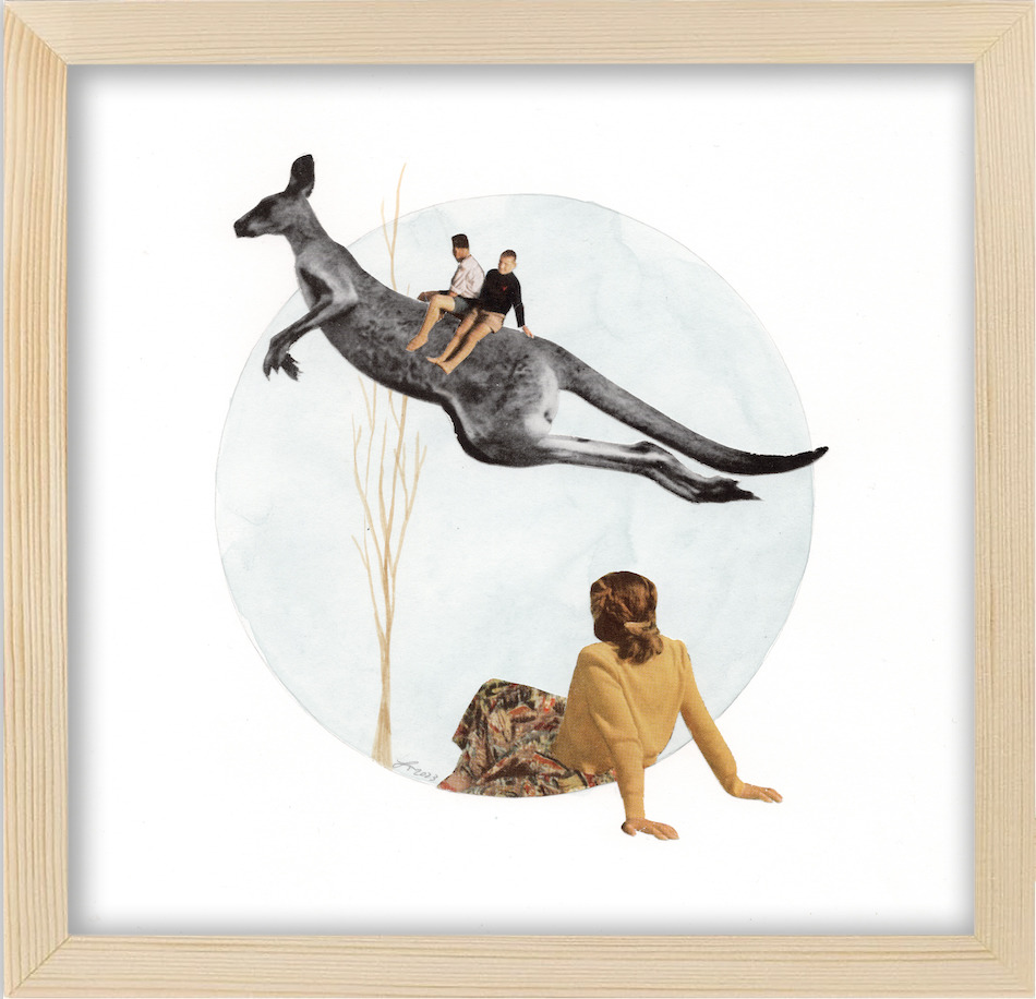 Kangaride framed bhabxc