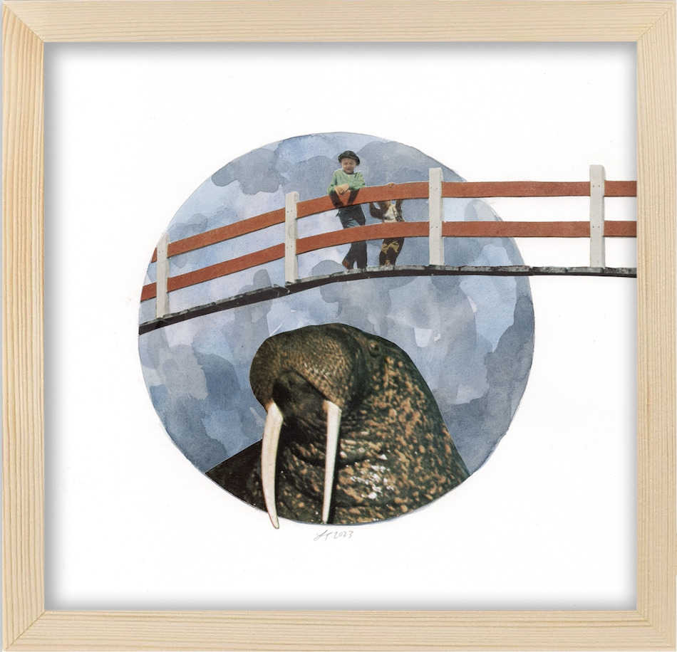 Bridgewalrus framed bq5ym4