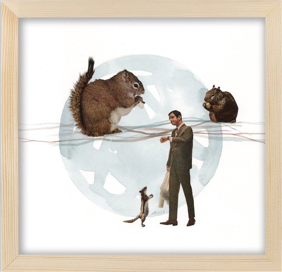 Squirreltime framed ge1v9s