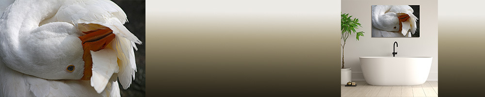 
        <div class='title'>
          200banner swan
        </div>
       