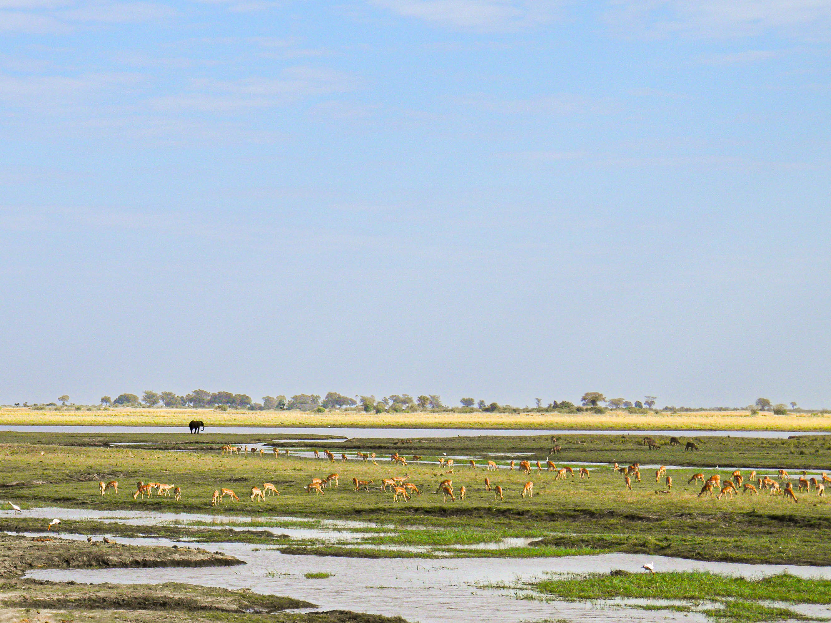 
        <div class='title'>
          The Zambezi Plateau otnook
        </div>
       
        <div class='description'>
          
        </div>
      