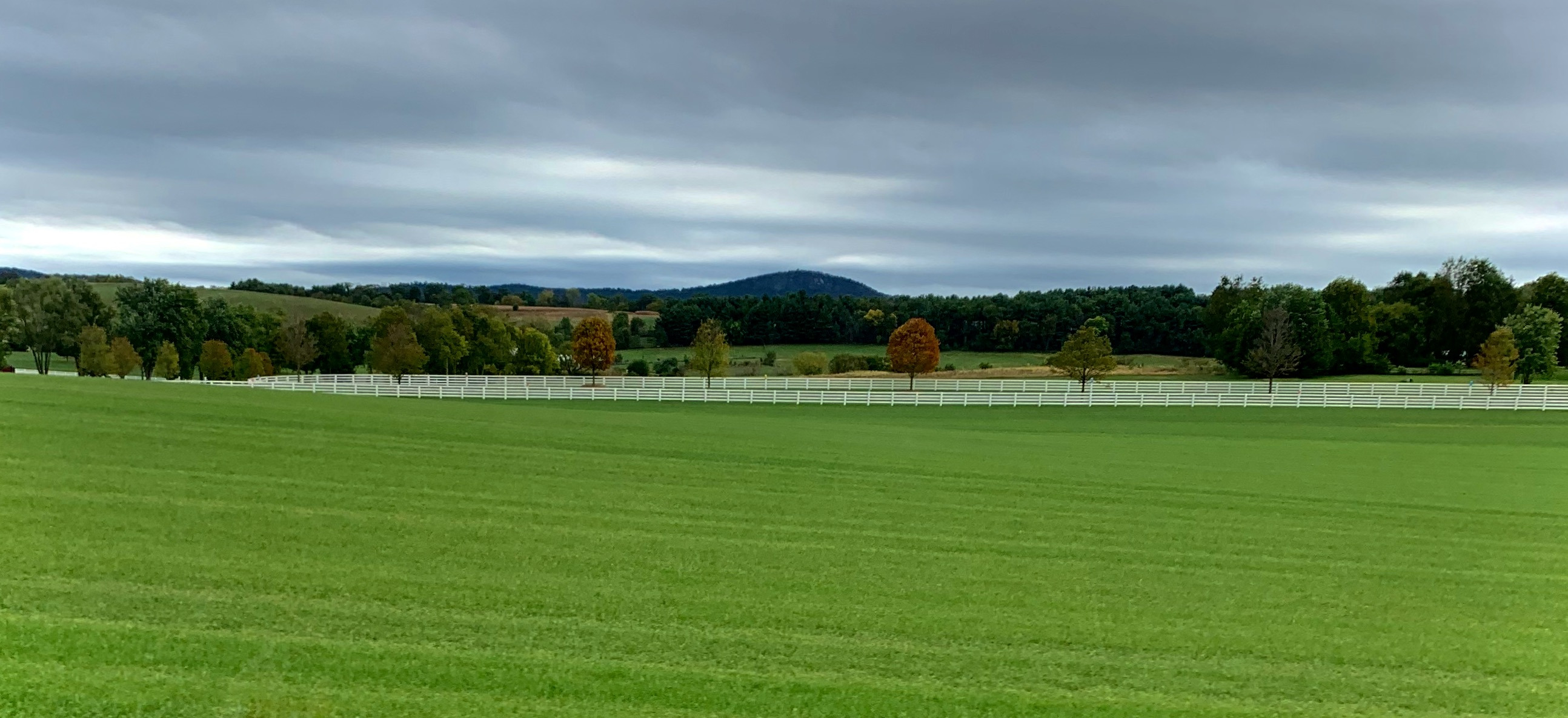 
        <div class='title'>
          Turf Farm
        </div>
       
        <div class='description'>
          
        </div>
      