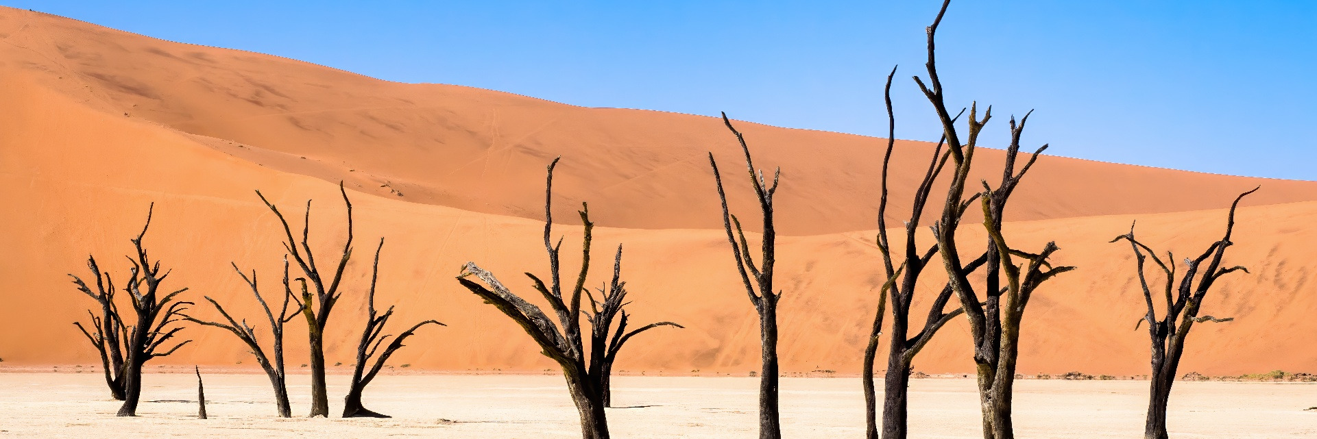 
        <div class='title'>
          Deadvlei, Namibia
        </div>
       
        <div class='description'>
          Dead trees on a flat salt plane with vivid red sand dunes in the distance. 
        </div>
      