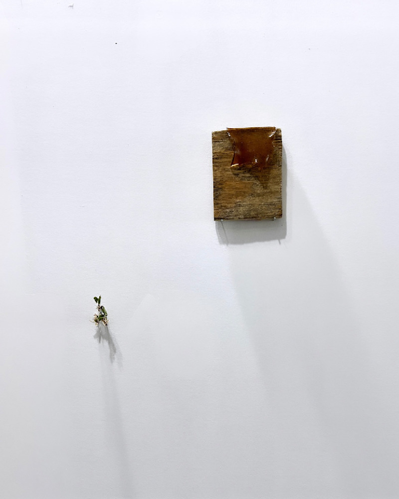 Open Studio — May — View 32 — Jay Lee
