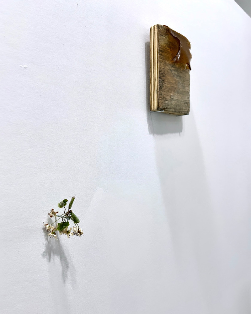 Open Studio — May — View 33 — Jay Lee
