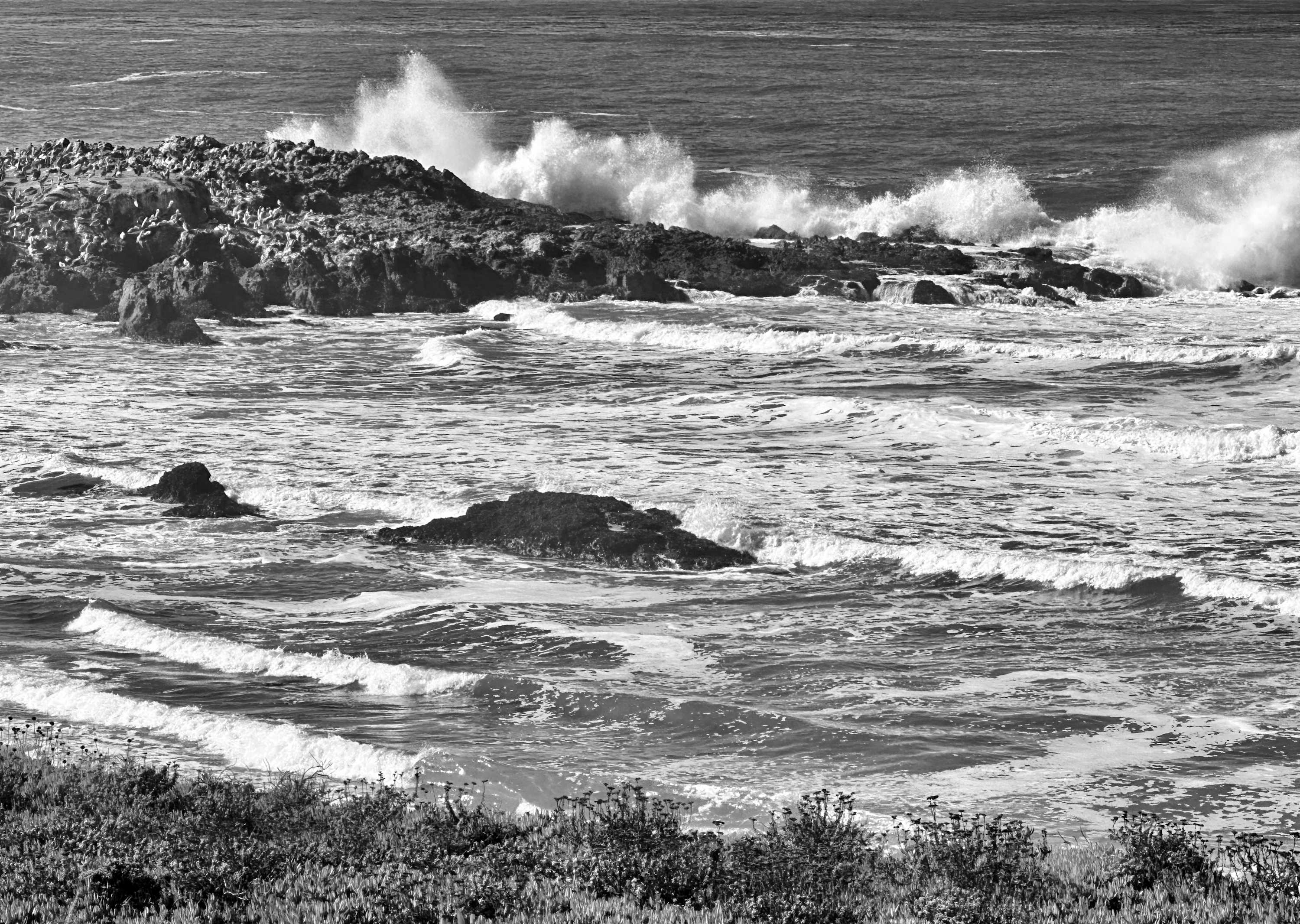 
        <div class='title'>
          Caifornia Waves 2023
        </div>
       
        <div class='description'>
          
        </div>
      