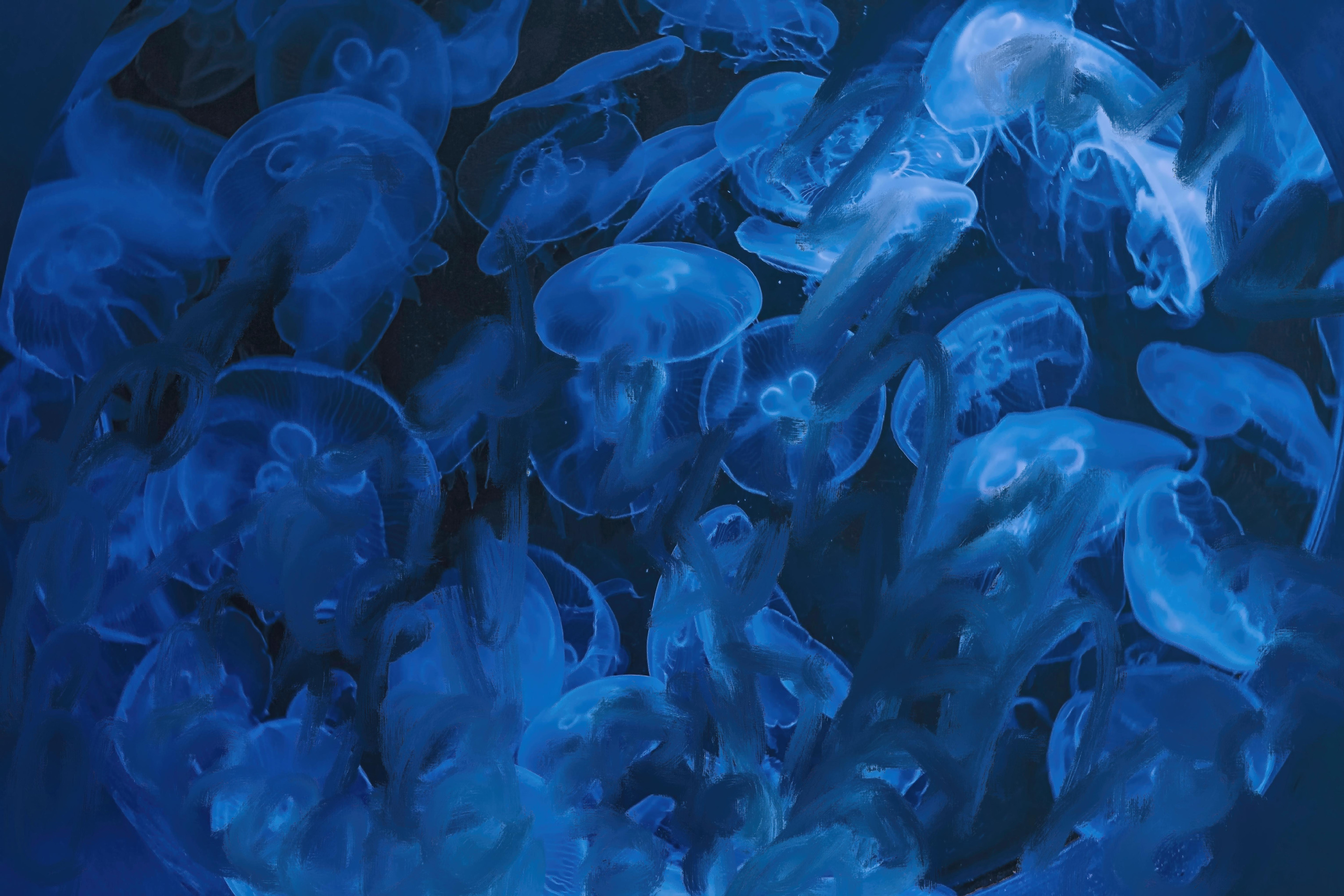 
        <div class='title'>
          Water Ghosts 1 hdbdpi
        </div>
       
        <div class='description'>
          
        </div>
      