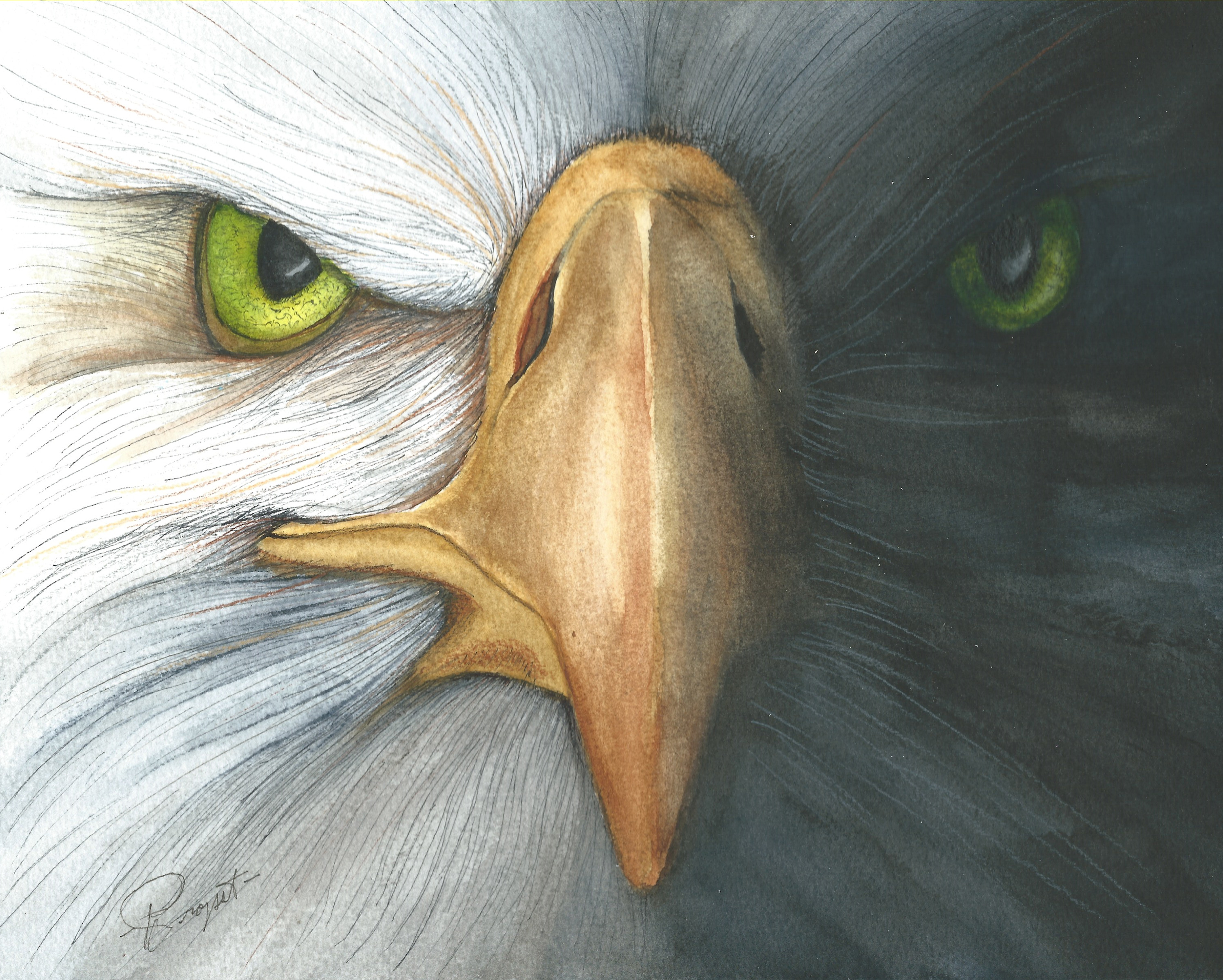 
        <div class='title'>
          Eagle Eyes
        </div>
       
        <div class='description'>
          
        </div>
      