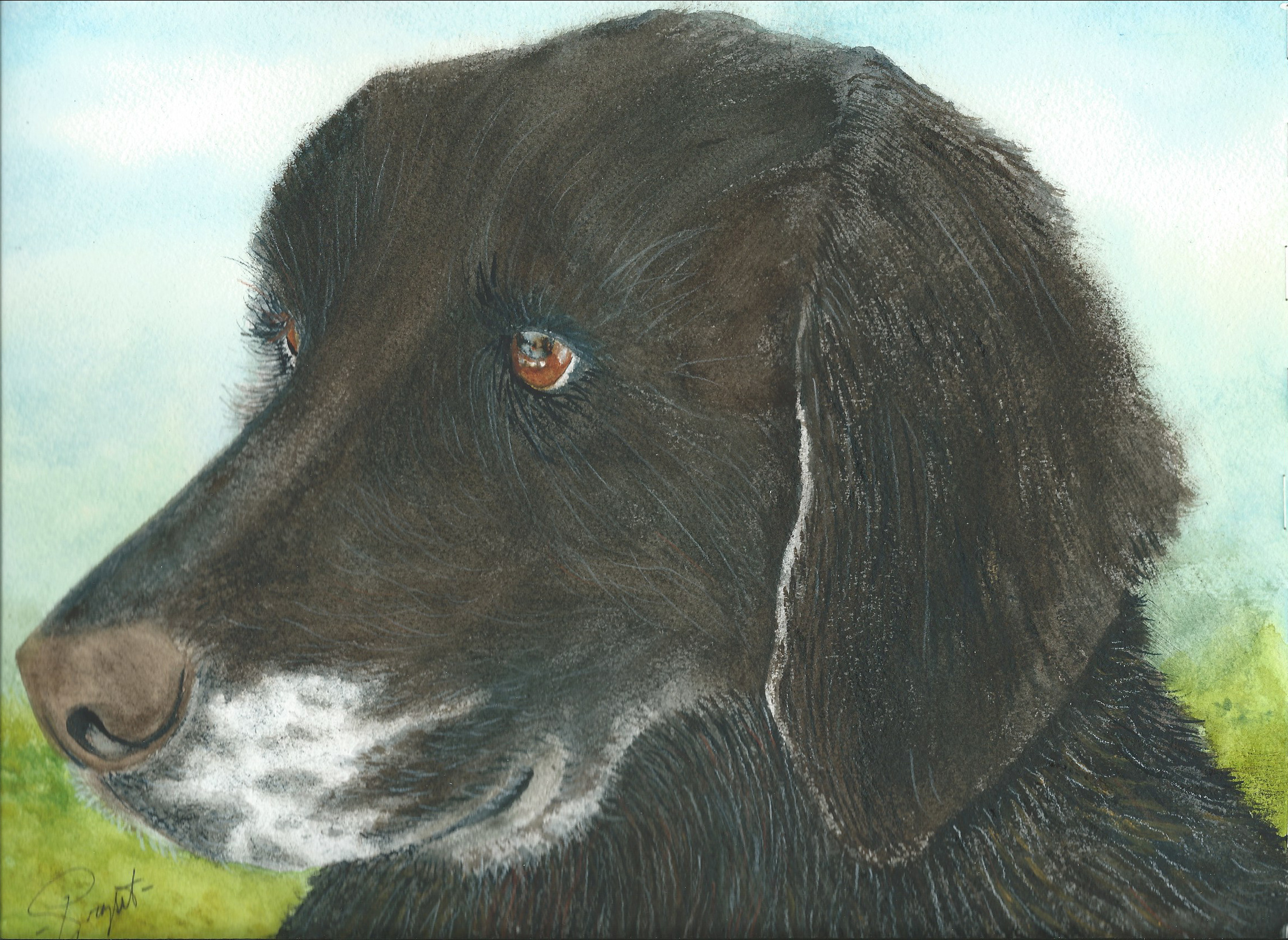 
        <div class='title'>
          Lucy
        </div>
       
        <div class='description'>
          
        </div>
      