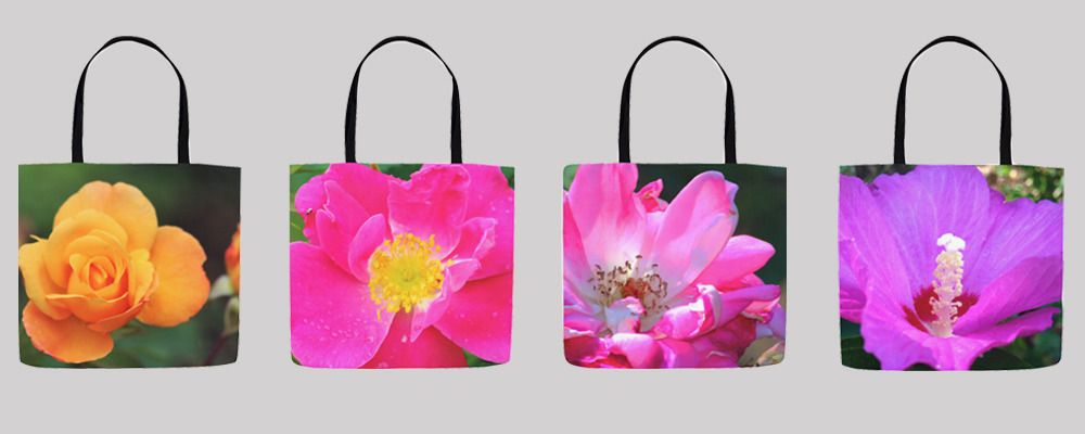 
        <div class='title'>
          for website banner 5 bags   rts copy 2
        </div>
       