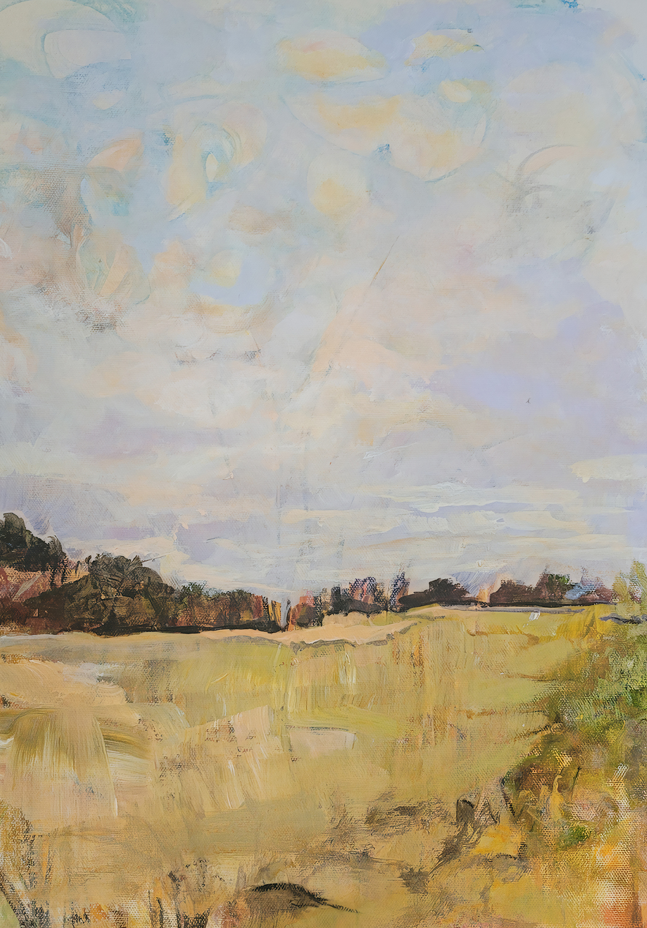 Arden rose 10x16 fields in france fcsiqp