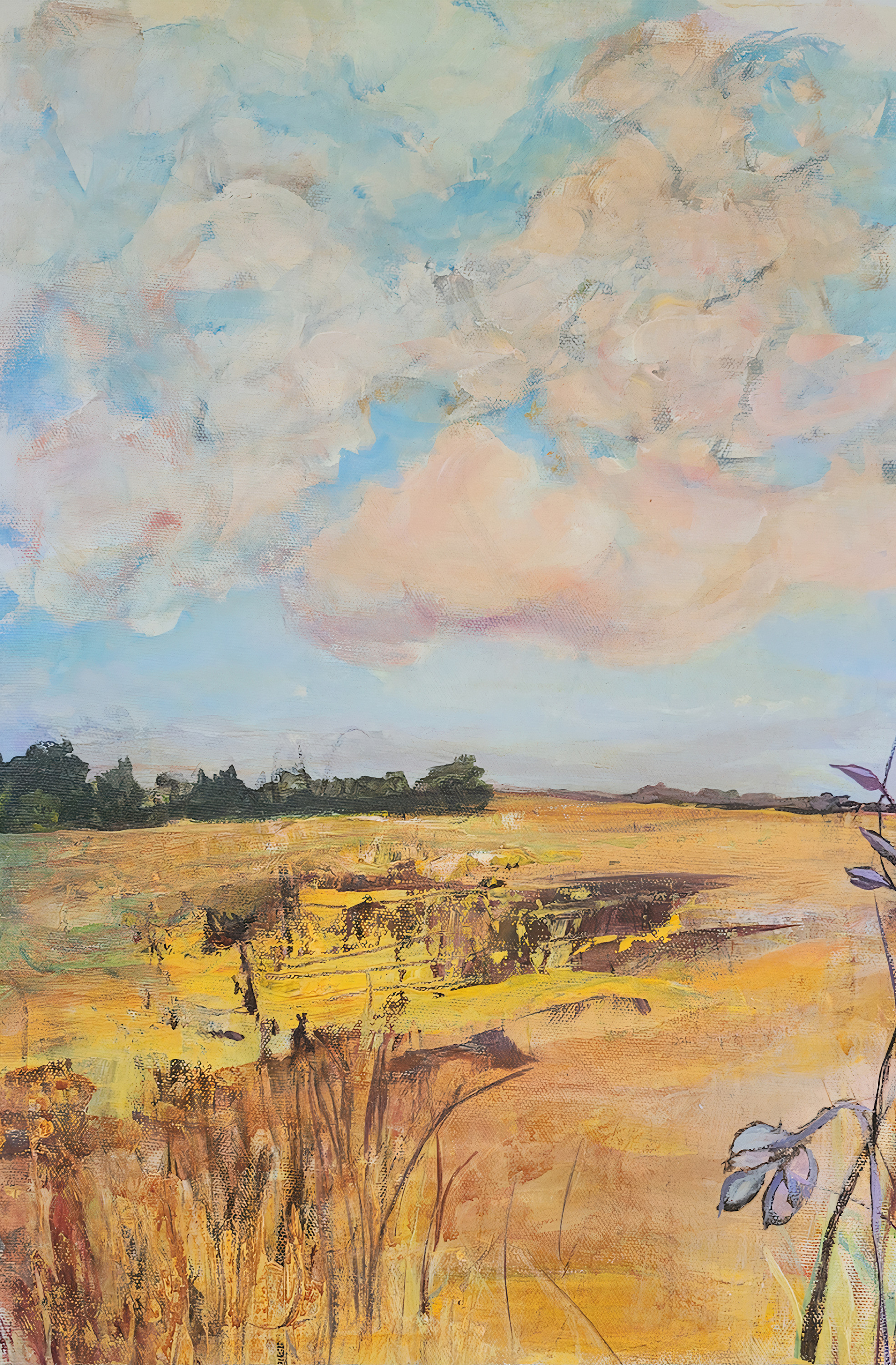 Arden rose 10x16 fields in france 2 indtqo