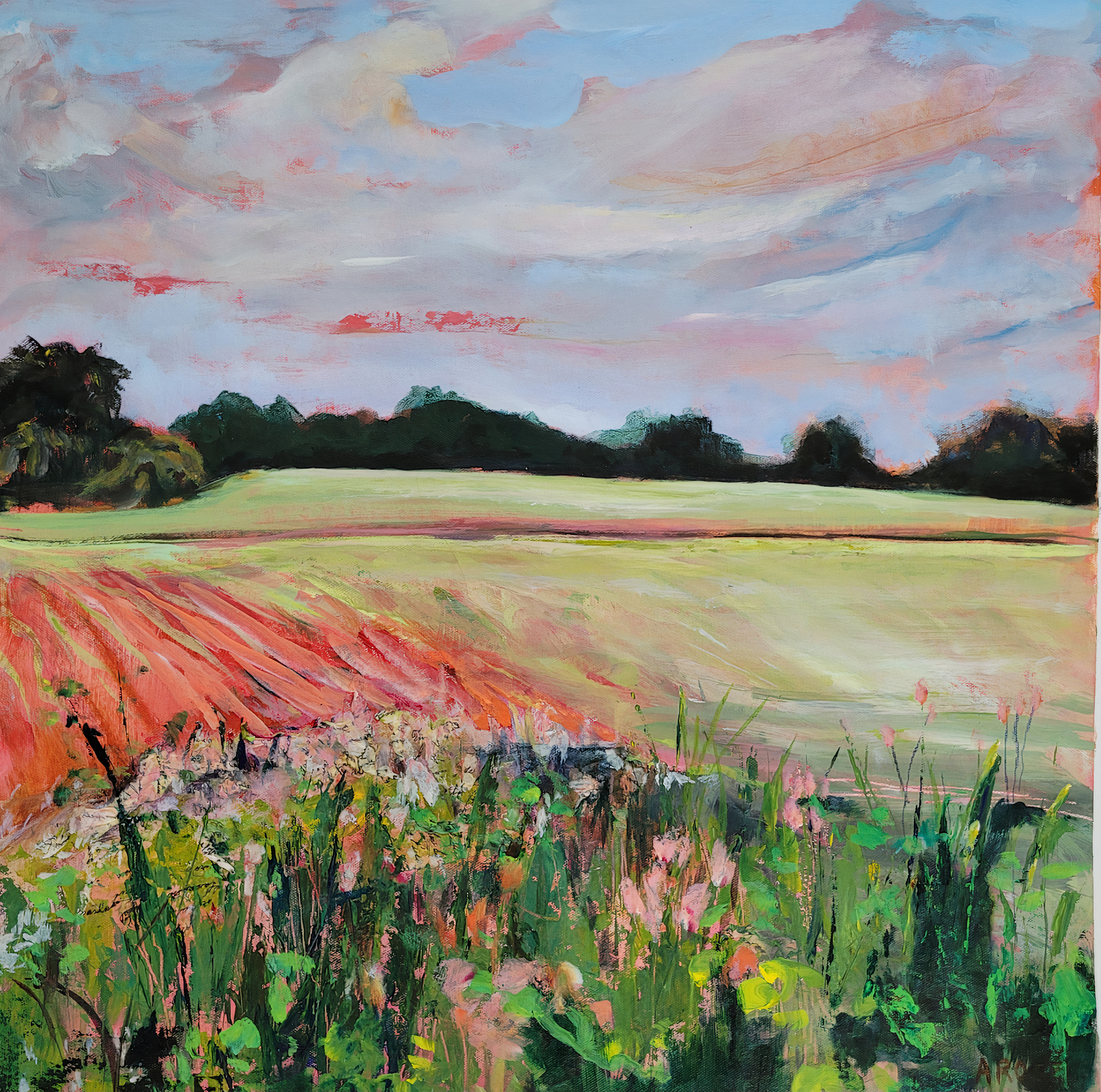 Arden rose 20x20 farmers field olvtrw