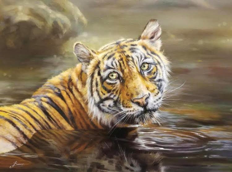 Bengal tiger bkbyiq