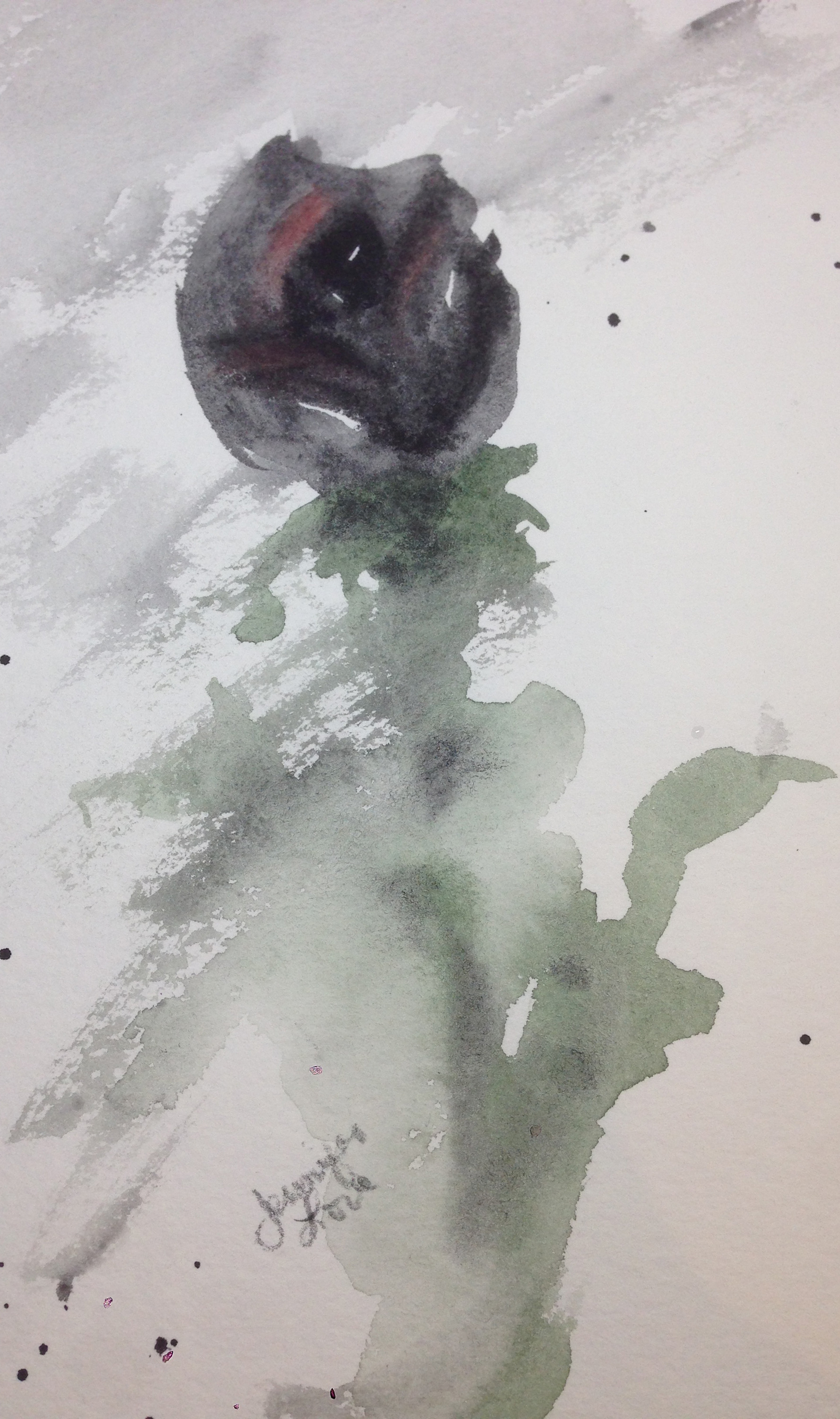 Black rose 2 cropped yg6vsc