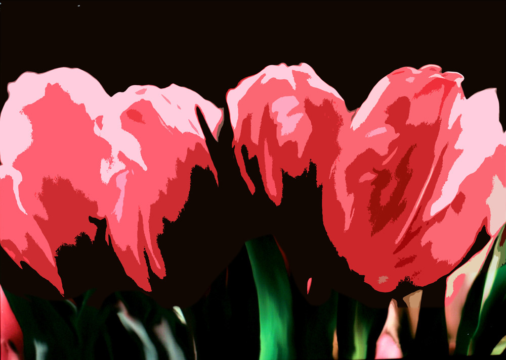
        <div class='title'>
          Rosey Pink 1000 zzecea
        </div>
       