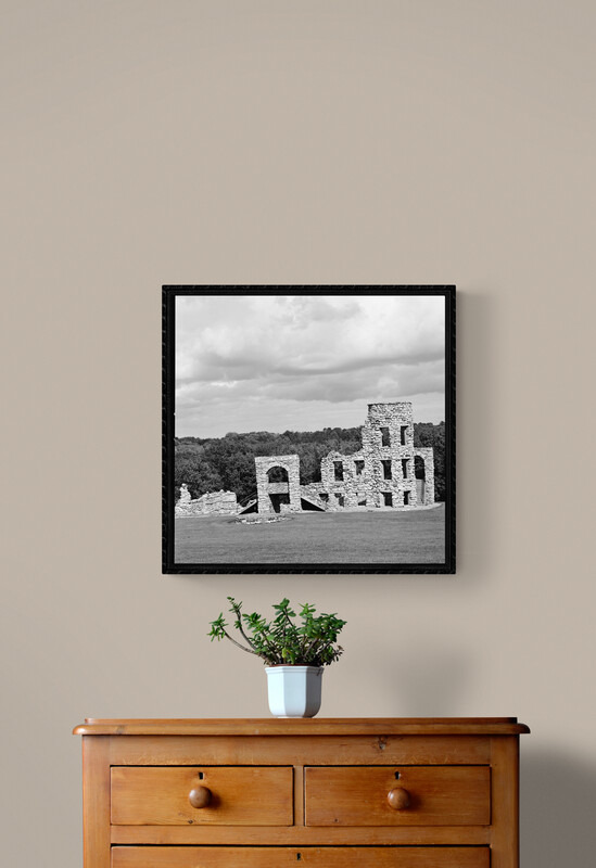 plant on wooden drawers