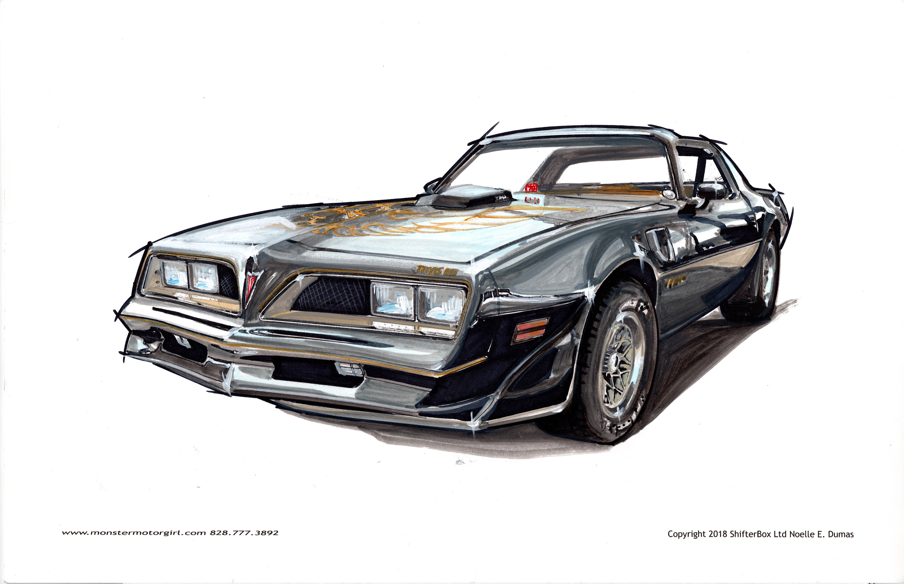 
        <div class='title'>
          bandit Trans Am
        </div>
       