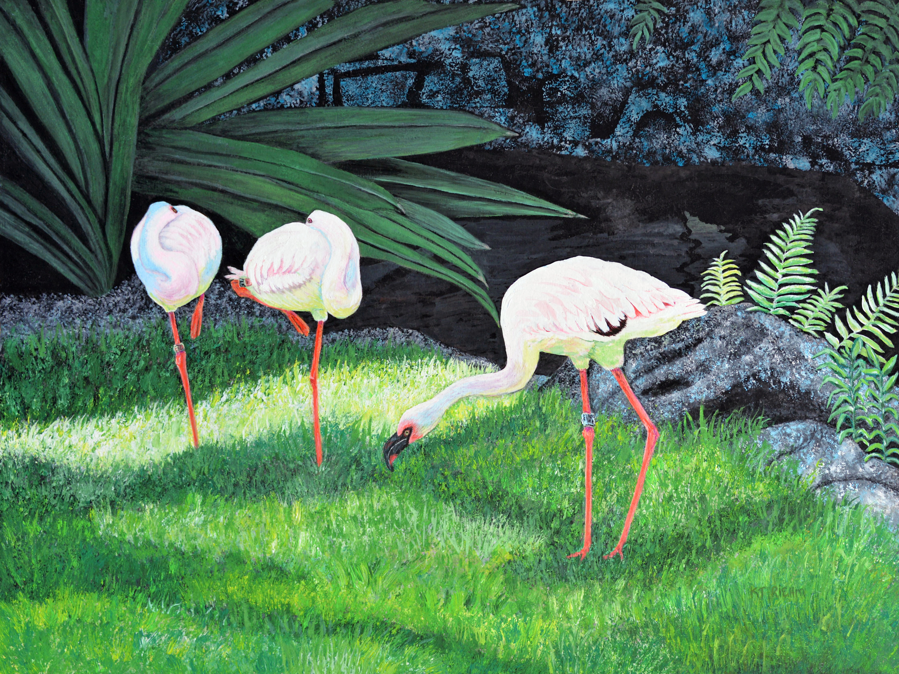 
        <div class='title'>
          Three Amigos
        </div>
       
        <div class='description'>
          
        </div>
      