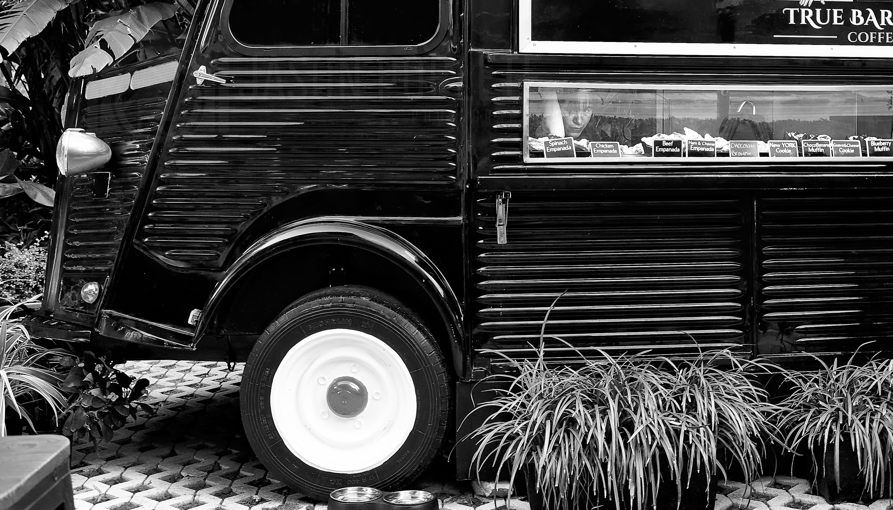 
        <div class='title'>
          JIP 8814 ASF Insta Coffee Truck Miami Lady
        </div>
       