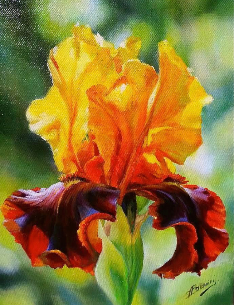 Iris 2 mv6fcs