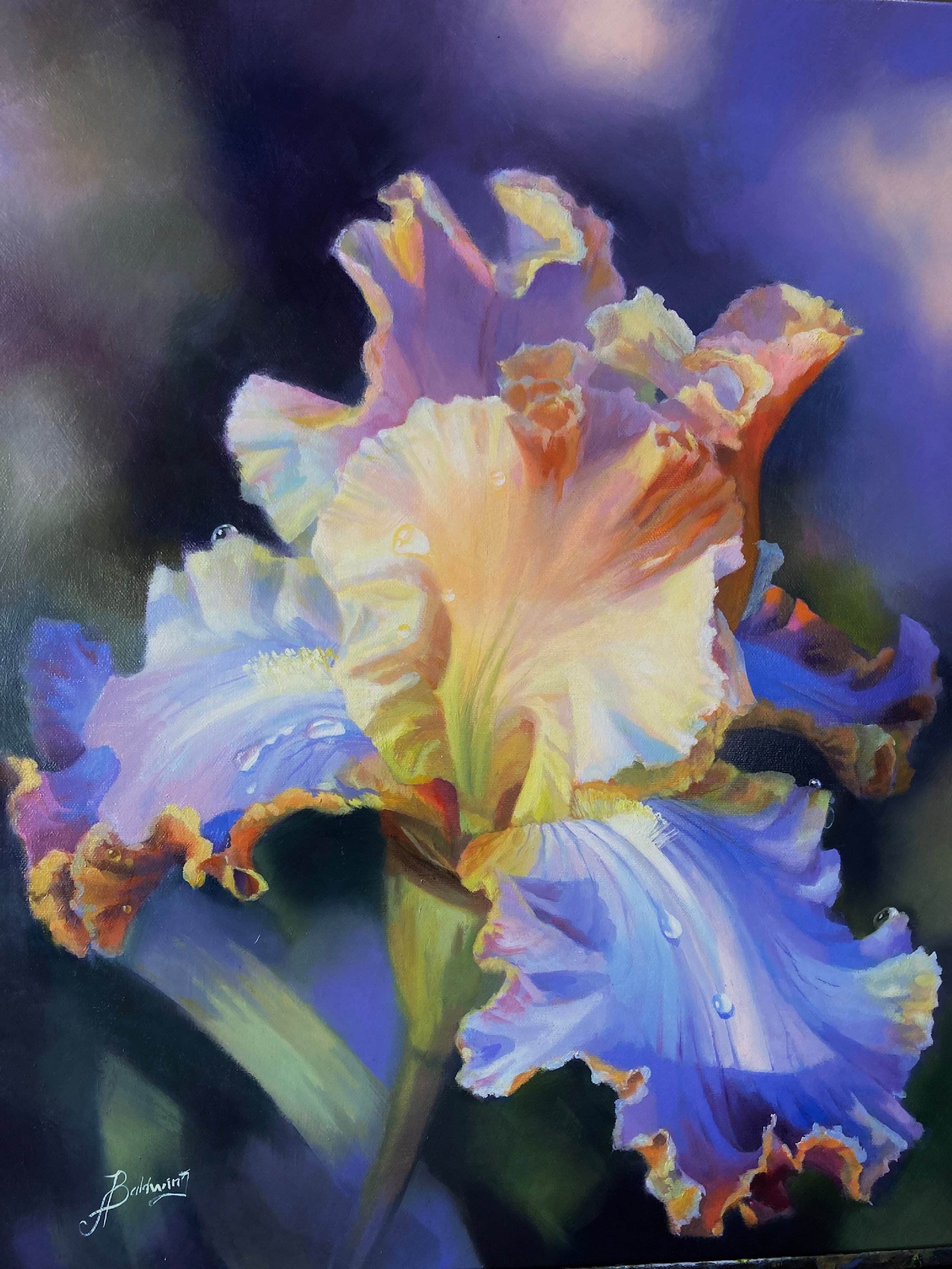 Iris 3 b3jzo4
