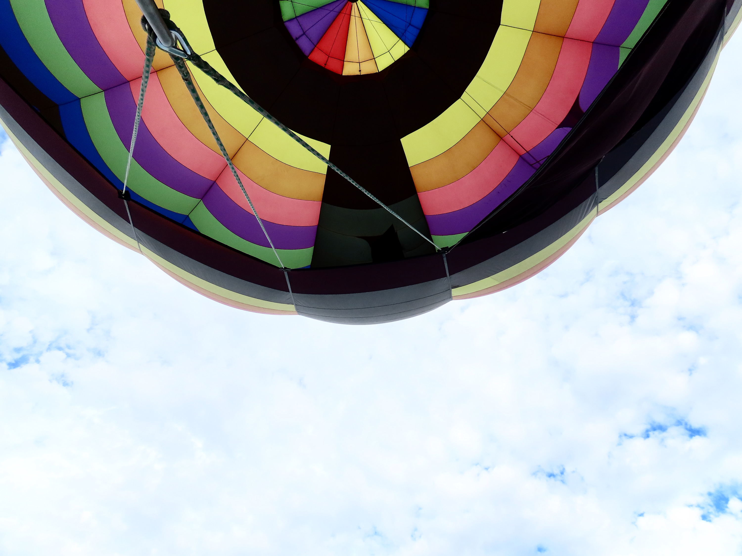 
        <div class='title'>
          Lookup
        </div>
       
        <div class='description'>
          Hot Air Balloon Ride
        </div>
      