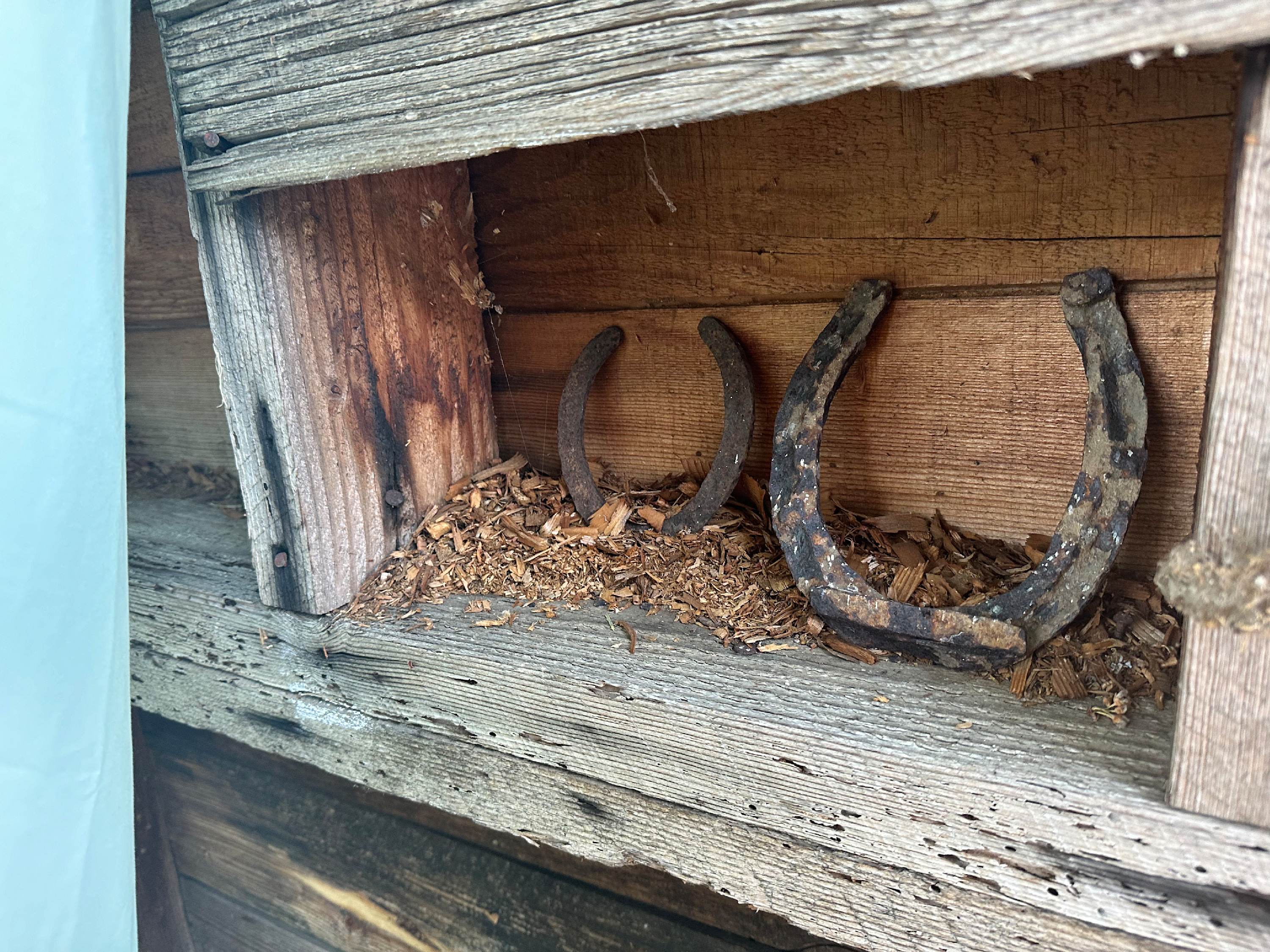 
        <div class='title'>
          Horseshoes
        </div>
       
        <div class='description'>
          
        </div>
      