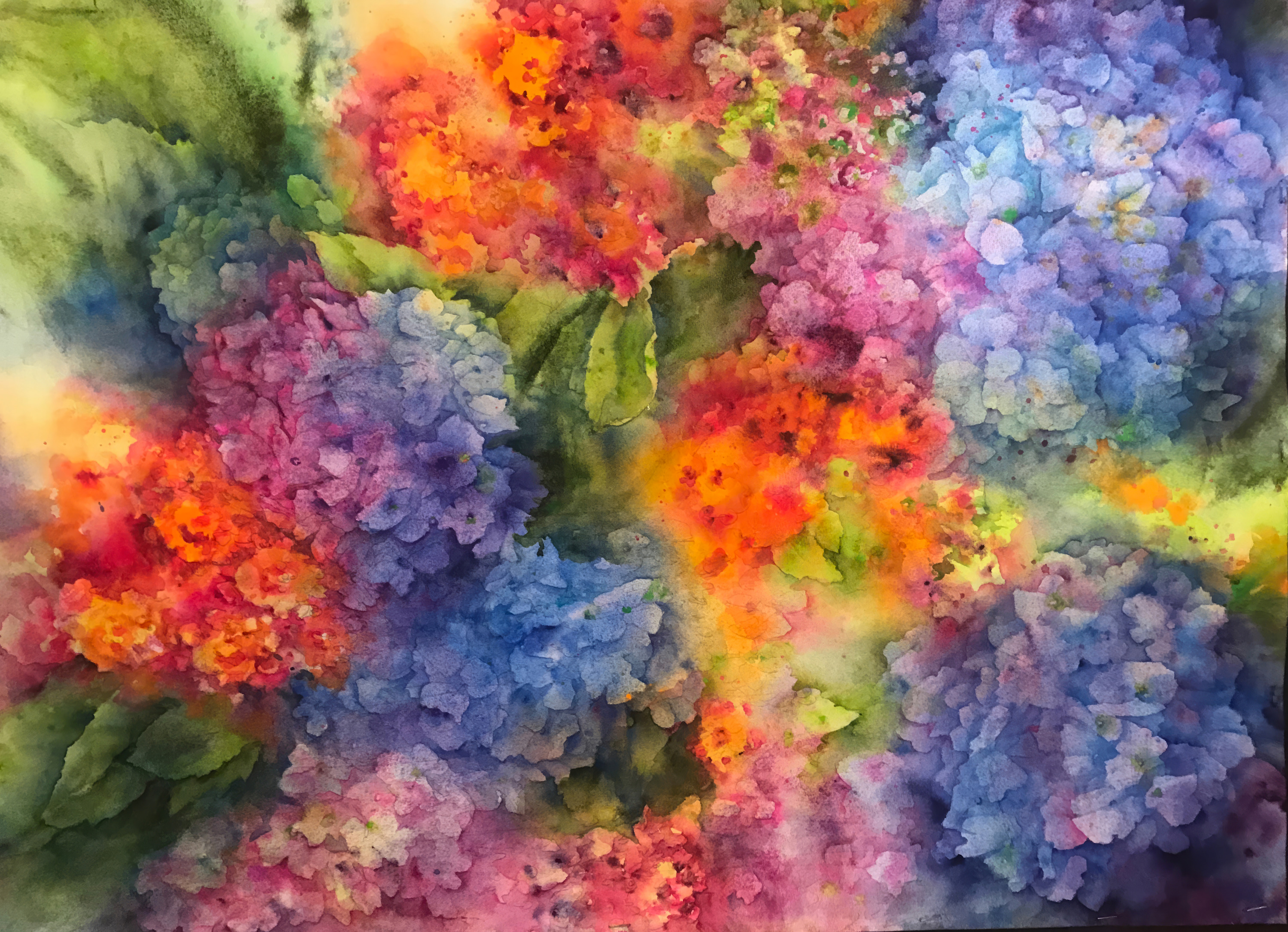 
        <div class='title'>
          Hydrangea and Lantana II 22 x 30 plus mat $2310   TPZ   Copy
        </div>
       
        <div class='description'>
          
        </div>
      