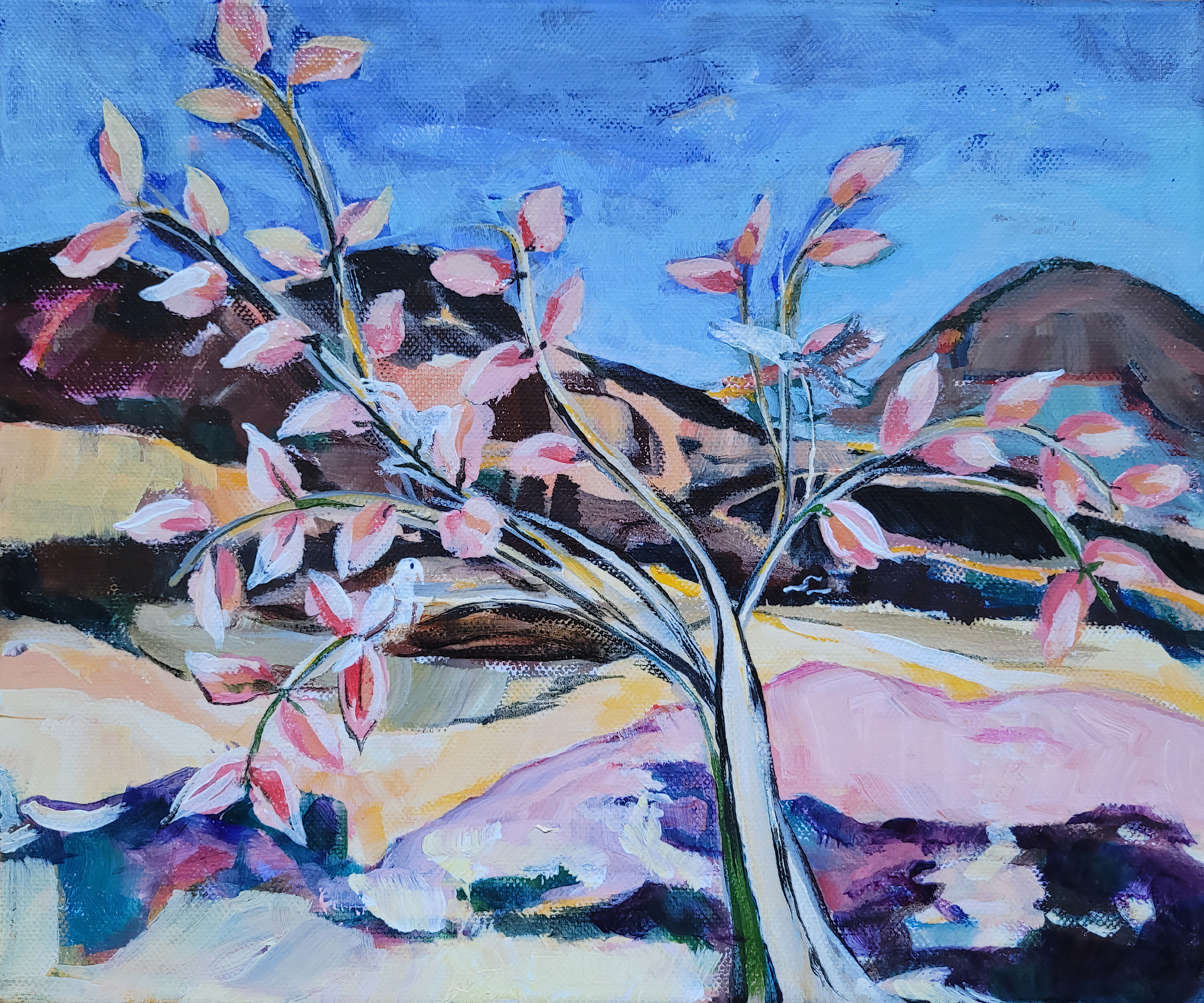 20240831 075535 le auto x2 pnwwzy