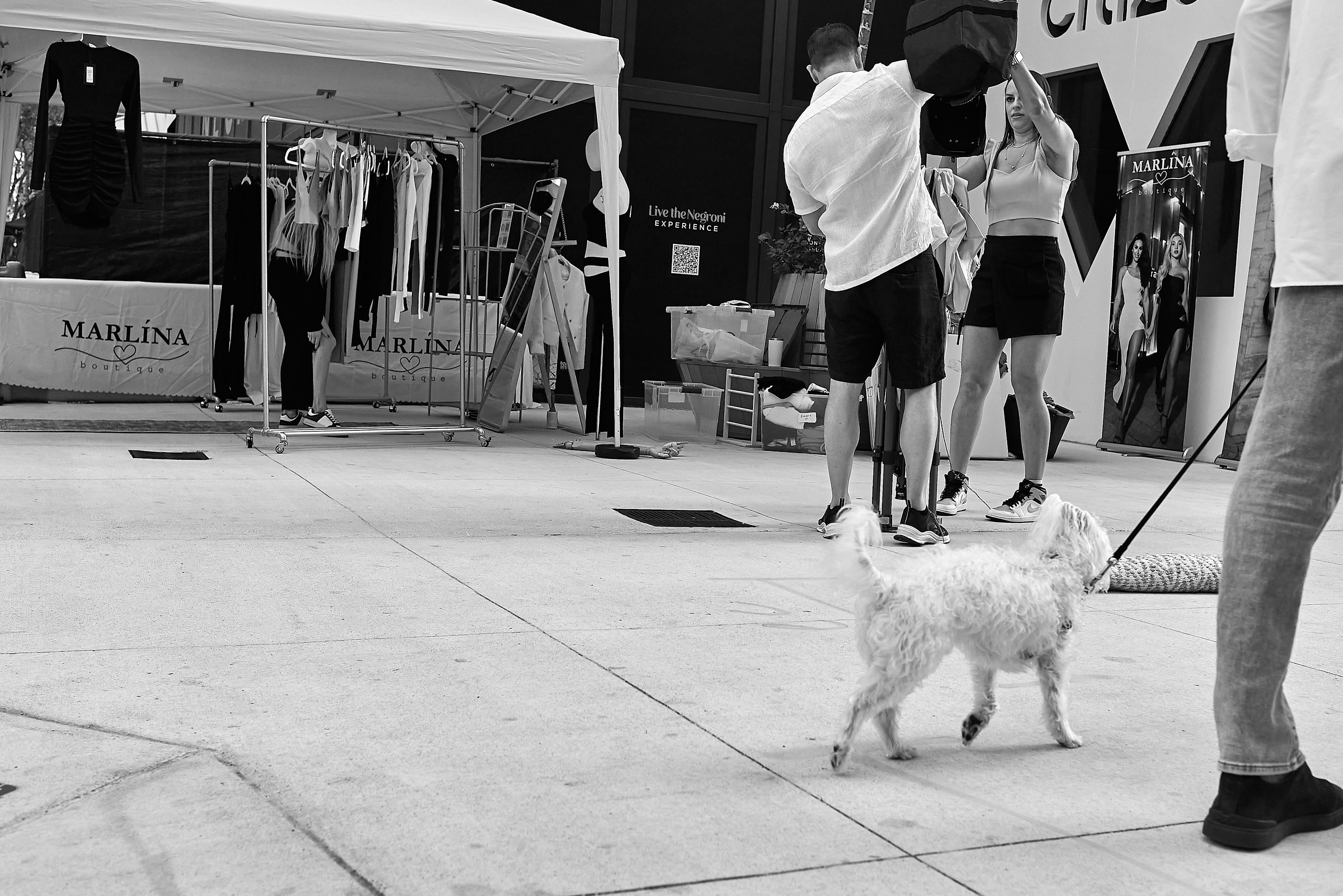 
        <div class='title'>
          JIP 6369 ASF insta miami dog dowtown
        </div>
       