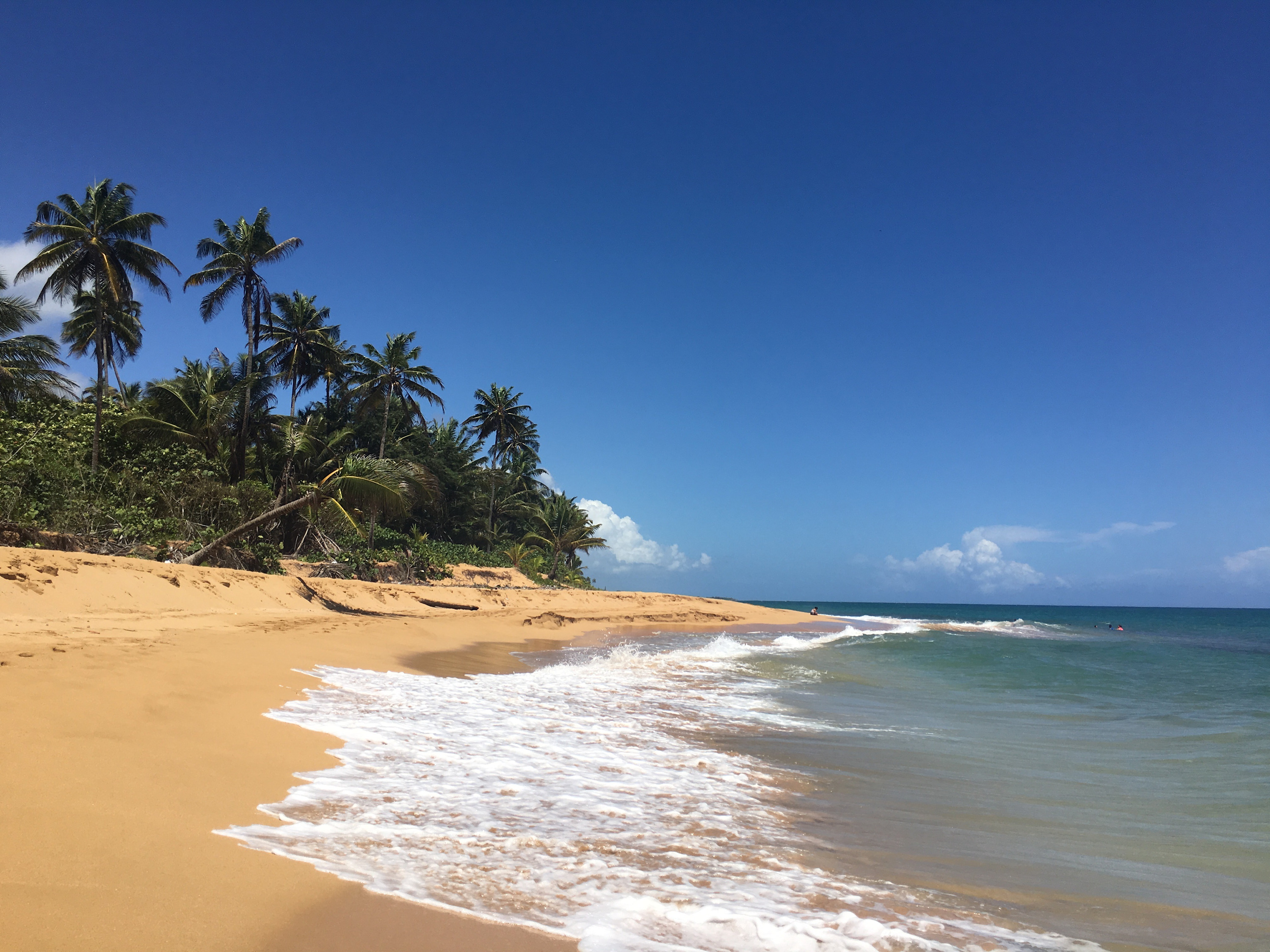 
        <div class='title'>
          Loiza, Puerto Rico 11
        </div>
       
        <div class='description'>
          
        </div>
      