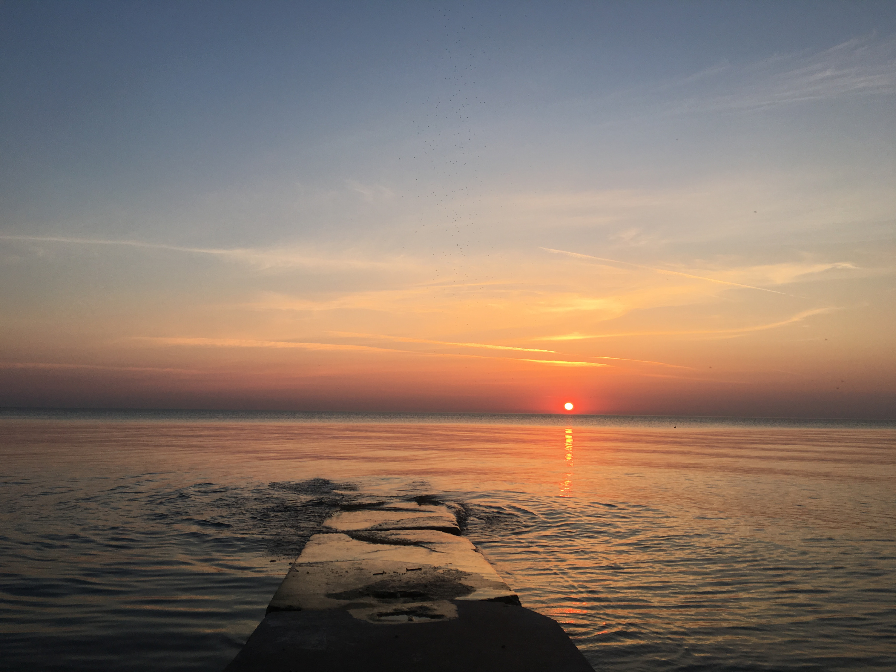 
        <div class='title'>
          Sunrise 1
        </div>
       
        <div class='description'>
          
        </div>
      