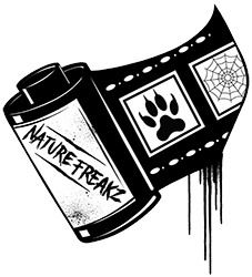 Nature FreakZ Photography 