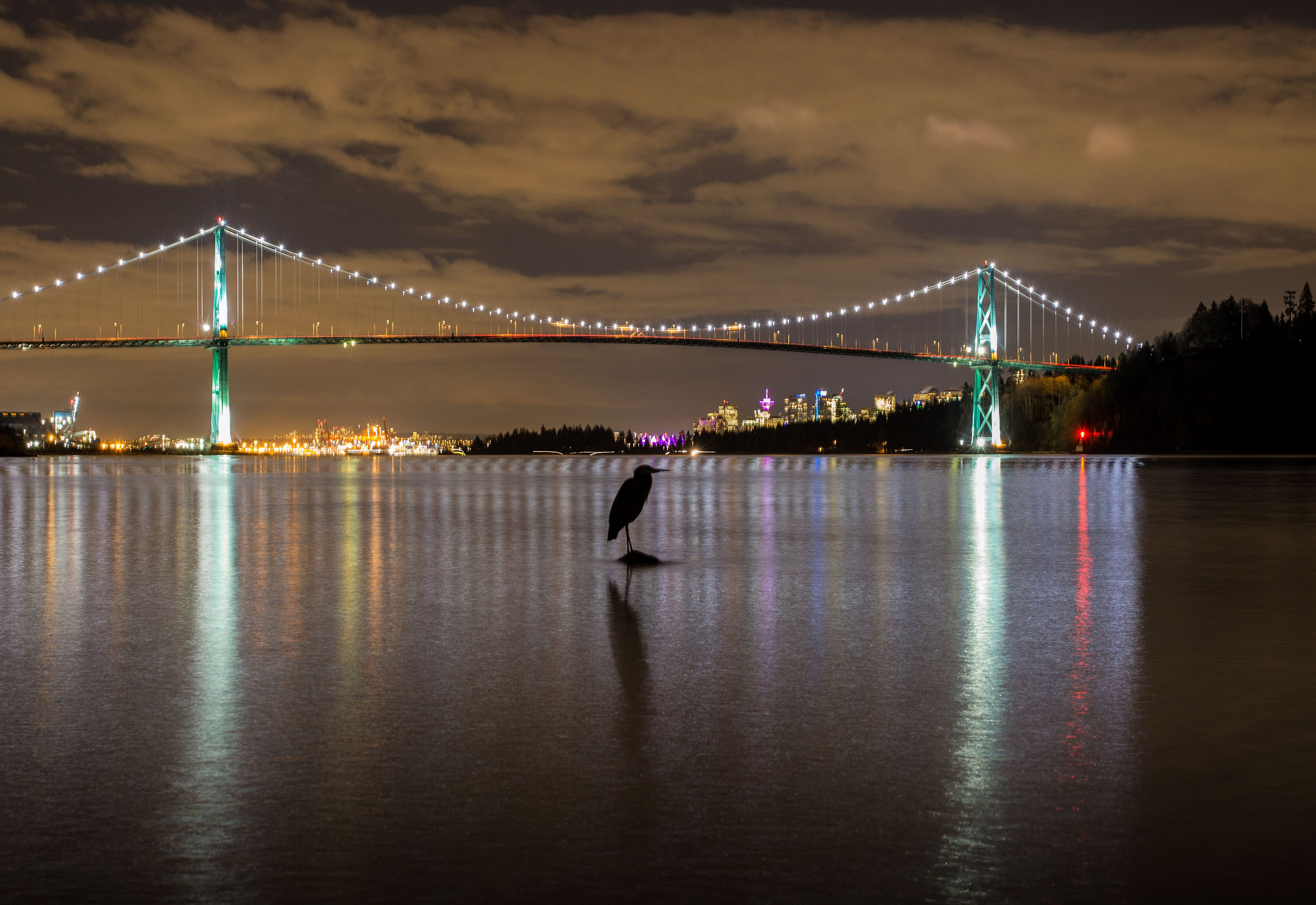 
        <div class='title'>
          Gbh Lions Gate Bridge n2kppr
        </div>
       
        <div class='description'>
          
        </div>
      